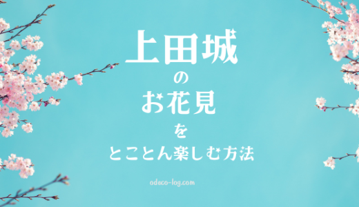 上田城お花見の楽しみ方と開花予想！第20回千本桜まつり情報