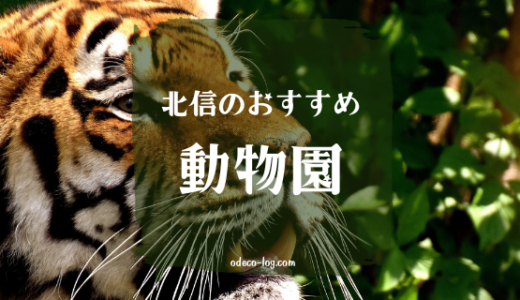 【長野でおでかけ】北信の人気動物園で推しアニマルを見つけよう