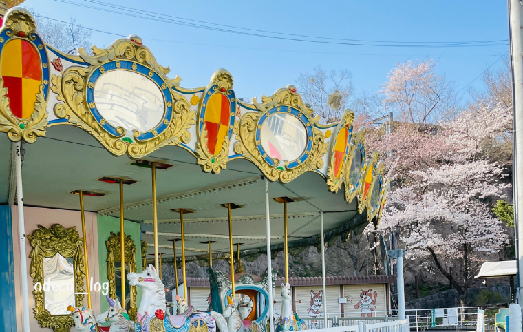 遊園地のメリーゴーランドと桜